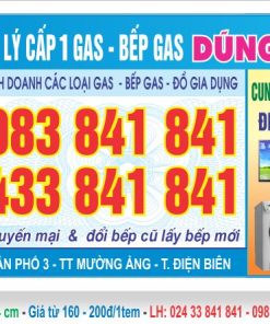 MẪU TEM GAS N017